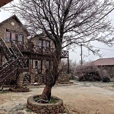 Guest house Anilia 4*